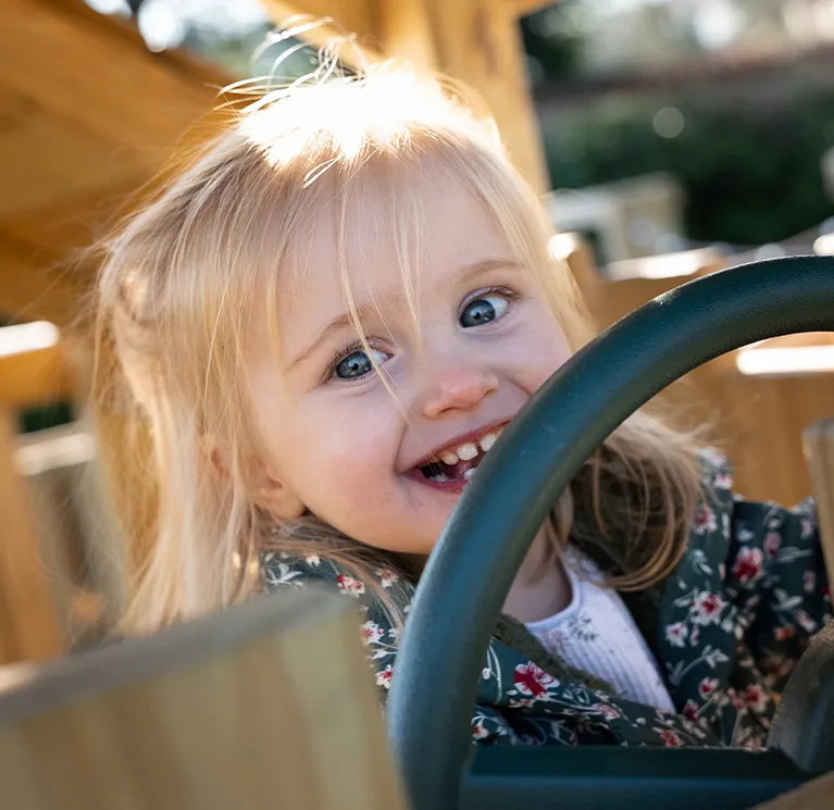 Garden climbing frames & swing sets image